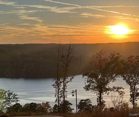 46 Treetop Dr, Guntersville, AL 35976