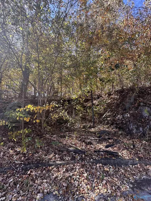 4622 Legacy Preserve Way, Brownsboro, AL 35741