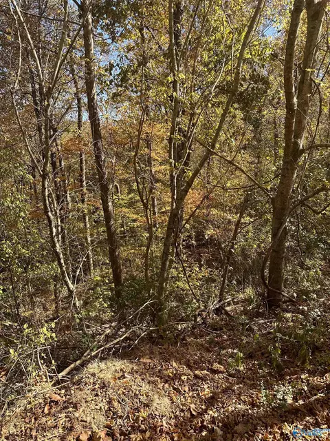 4619 Legacy Preserve Way, Brownsboro, AL 35741