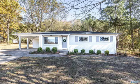 1162 Bailey Rd, Arab, AL 35016 photo 1