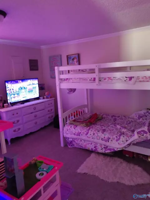 1528 Old Hwy 24, Trinity, AL 35673 photo 7