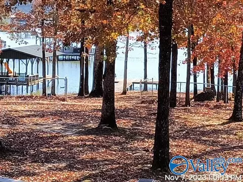 74 County Road 625, Cedar Bluff, AL 35959 photo 27