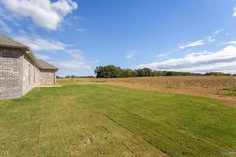 160 Spry Way, Killen, AL 35645 photo 28