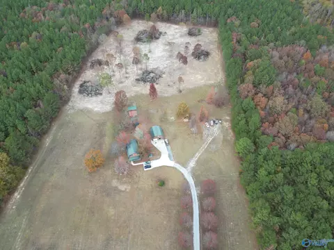365 County Road 551, Trinity, AL 35673 photo 39