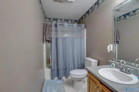 365 County Road 551, Trinity, AL 35673 photo 22