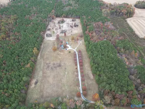 365 County Road 551, Trinity, AL 35673 photo 36