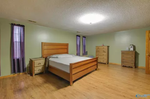 365 County Road 551, Trinity, AL 35673 photo 12