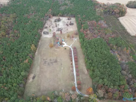 365 County Road 551, Trinity, AL 35673 photo 35