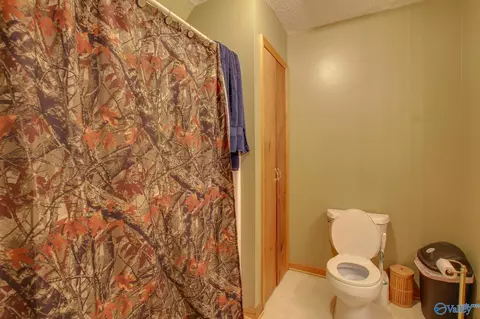 365 County Road 551, Trinity, AL 35673 photo 15