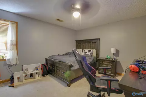 365 County Road 551, Trinity, AL 35673 photo 20