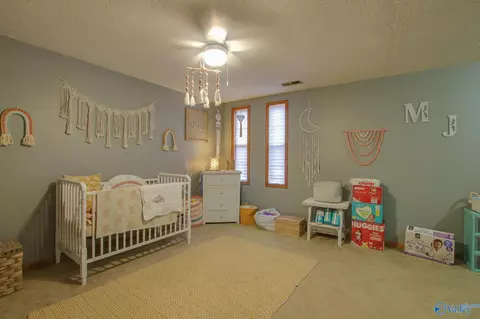 365 County Road 551, Trinity, AL 35673 photo 16