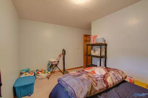 365 County Road 551, Trinity, AL 35673 photo 25