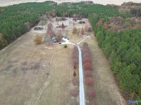 365 County Road 551, Trinity, AL 35673 photo 40
