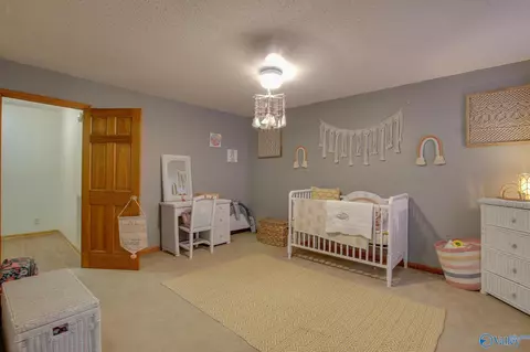 365 County Road 551, Trinity, AL 35673 photo 18
