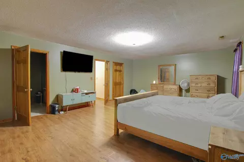 365 County Road 551, Trinity, AL 35673 photo 13