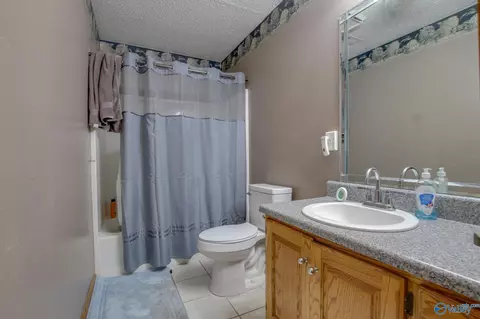 365 County Road 551, Trinity, AL 35673 photo 23