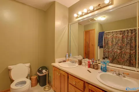 365 County Road 551, Trinity, AL 35673 photo 14