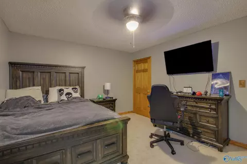 365 County Road 551, Trinity, AL 35673 photo 21