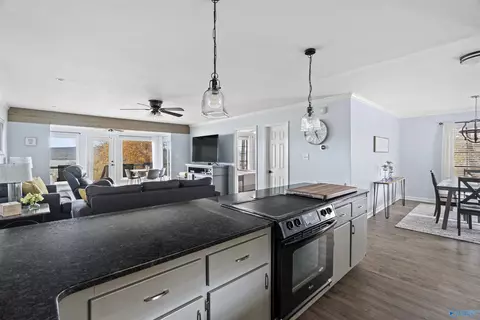 500 Eagle Point Rd, Langston, AL 35755 photo 18
