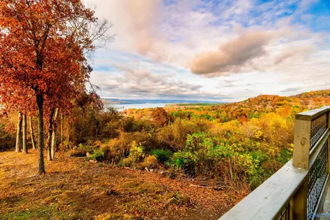 500 Eagle Point Rd, Langston, AL 35755 photo 9