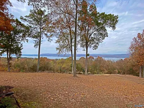 500 Eagle Point Rd, Langston, AL 35755 photo 33