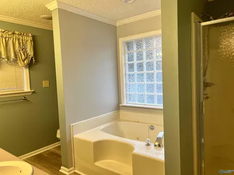 128 Sims St, Trinity, AL 35673 photo 20