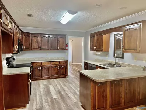 128 Sims St, Trinity, AL 35673 photo 10