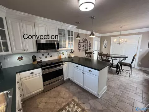 60 County Road 390, Trinity, AL 35673 photo 11