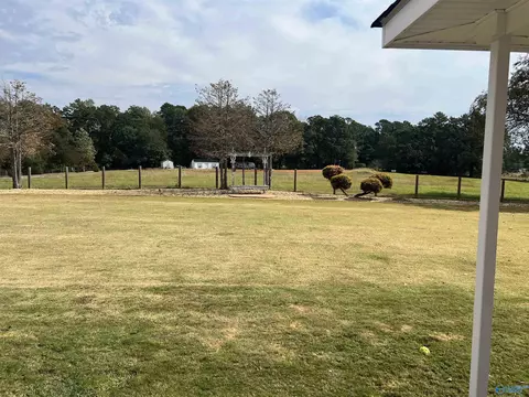 60 County Road 390, Trinity, AL 35673 photo 33