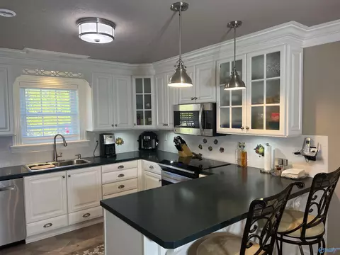 60 County Road 390, Trinity, AL 35673 photo 10