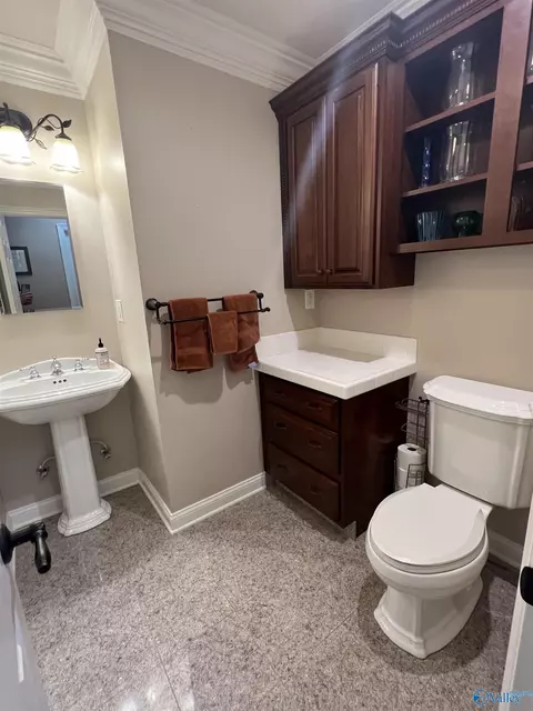 60 County Road 390, Trinity, AL 35673 photo 22