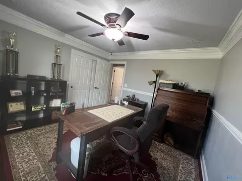 60 County Road 390, Trinity, AL 35673 photo 20