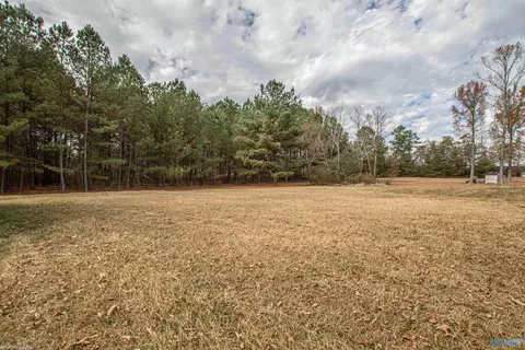 269 County Road 496, Trinity, AL 35673 photo 28