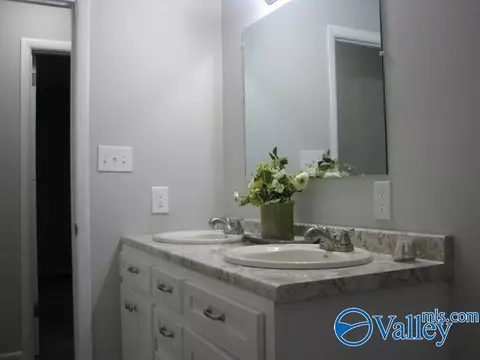 Bath - 412 N Greenway Dr, Trinity, AL 35673 photo 2 of 6