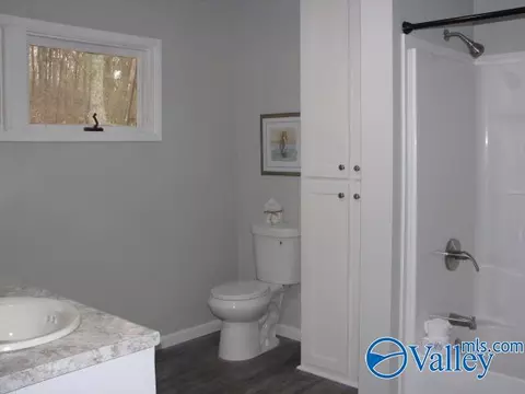 Bath - 412 N Greenway Dr, Trinity, AL 35673 photo 5 of 6