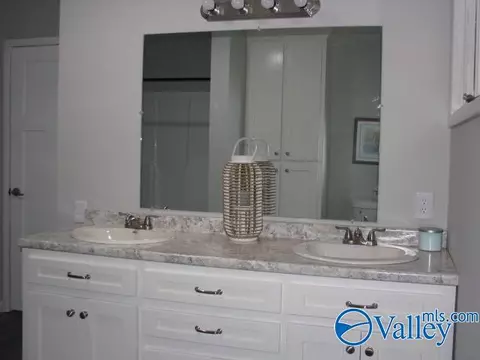 Bath - 412 N Greenway Dr, Trinity, AL 35673 photo 4 of 6