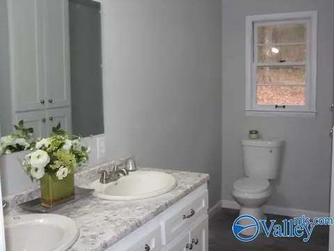 Bath - 412 N Greenway Dr, Trinity, AL 35673 photo 1 of 6