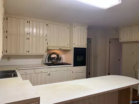 4585 Broad St, Cedar Bluff, AL 35959 photo 11