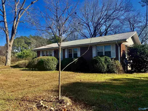 4585 Broad St, Cedar Bluff, AL 35959 photo 1
