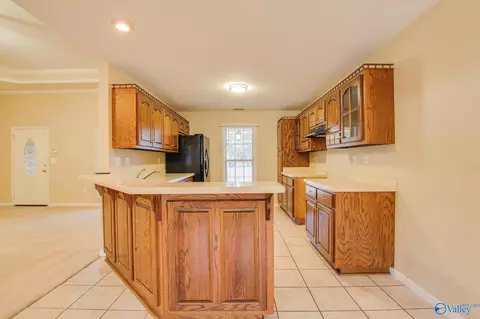148 County Road 358, Trinity, AL 35673 photo 2