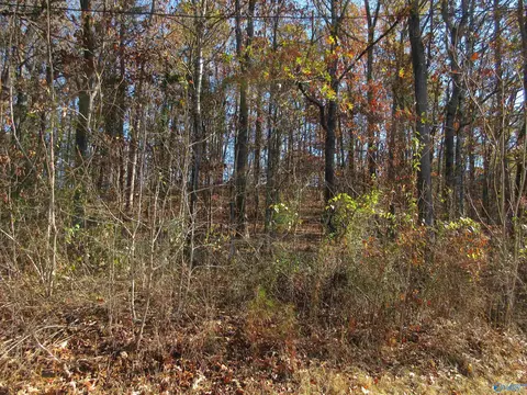 27 Sumner Dr, Scottsboro, AL 35769
