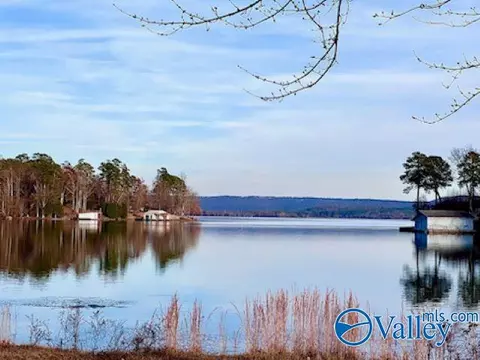 480 Ester Rd, Grant, AL 35747 photo 4