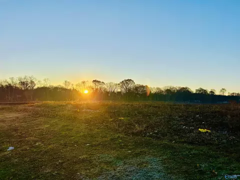 13 Acres Bunny Ln, Decatur, AL 35603