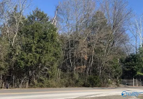 4645 Main Dr, New Hope, AL 35760