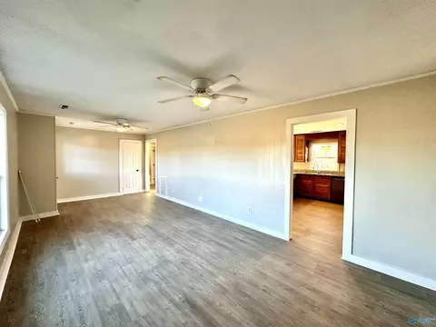 4100 County Road 66, Section, AL 35771 photo 3