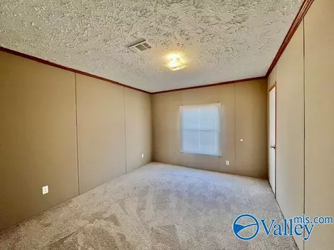 317 County Road 617, Section, AL 35771 photo 21