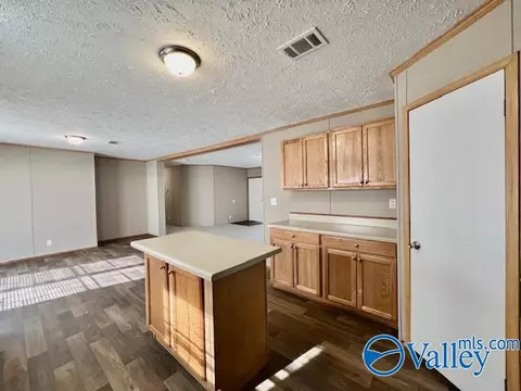 317 County Road 617, Section, AL 35771 photo 6