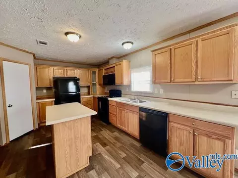 317 County Road 617, Section, AL 35771 photo 7