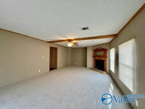 317 County Road 617, Section, AL 35771 photo 12