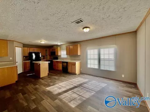 317 County Road 617, Section, AL 35771 photo 5